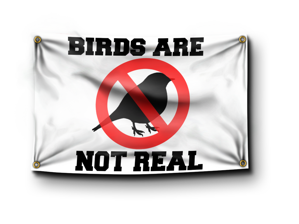 Birds Are Not Real Flag | Banger Flags